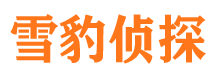 金山市私家侦探